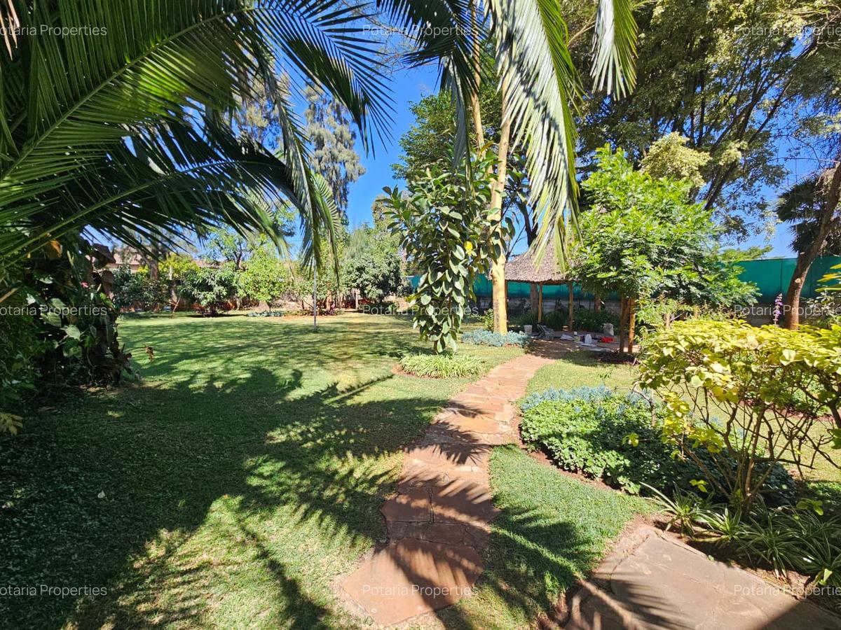 Commercial Property with Parking in Lavington - 2