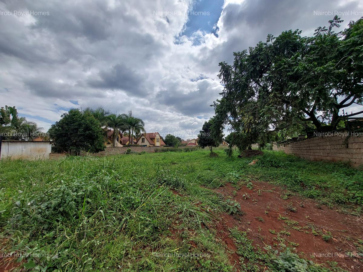 Residential Land at Ruaka Road - 1