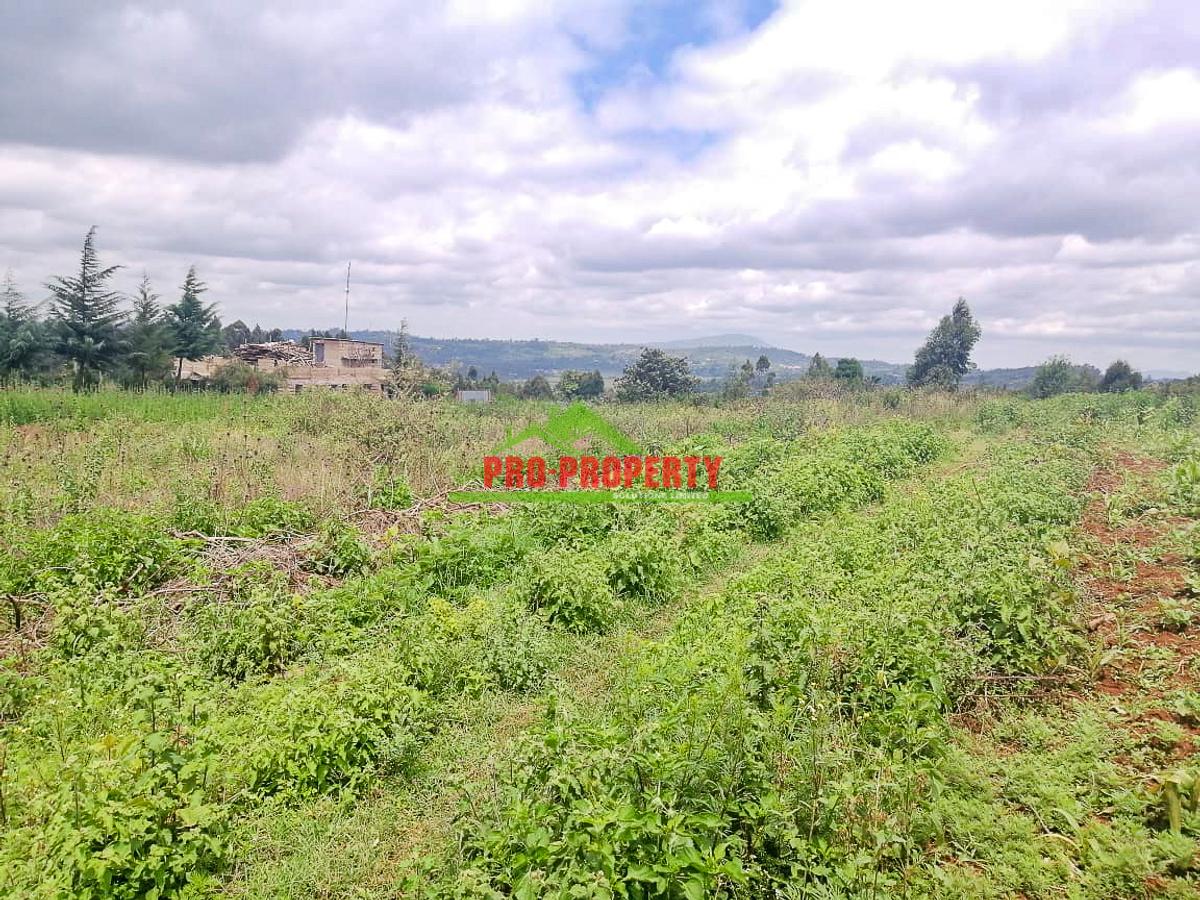 0.125 ac Residential Land at Migumoini - 6