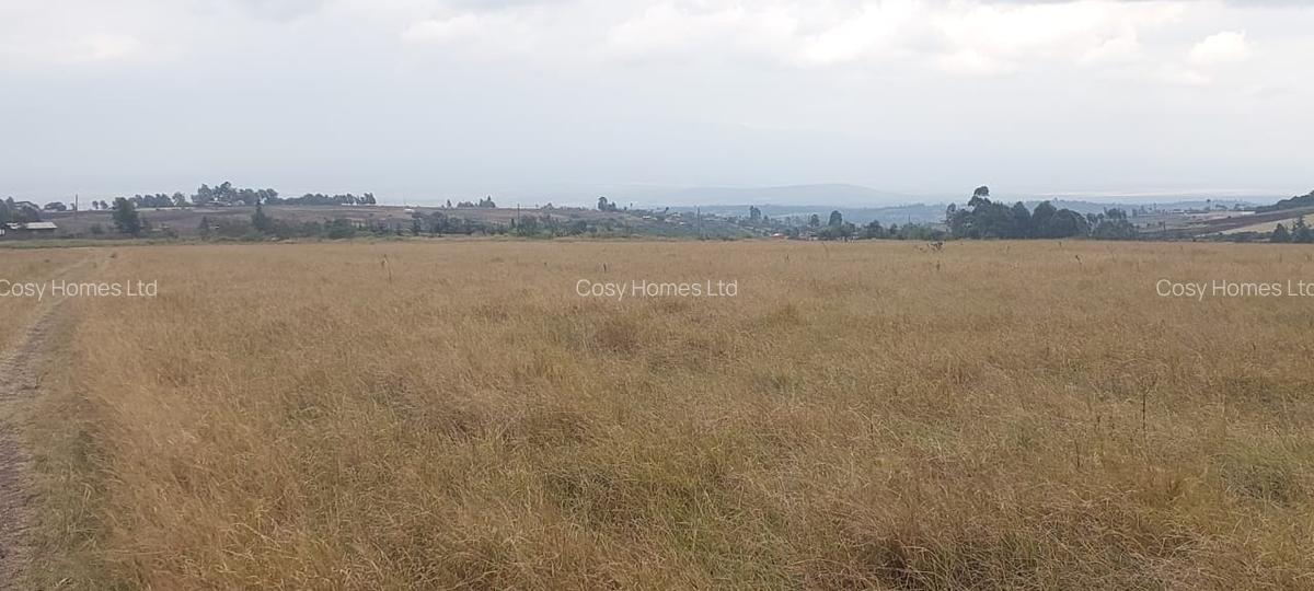 Land at Mwiyogo - 11