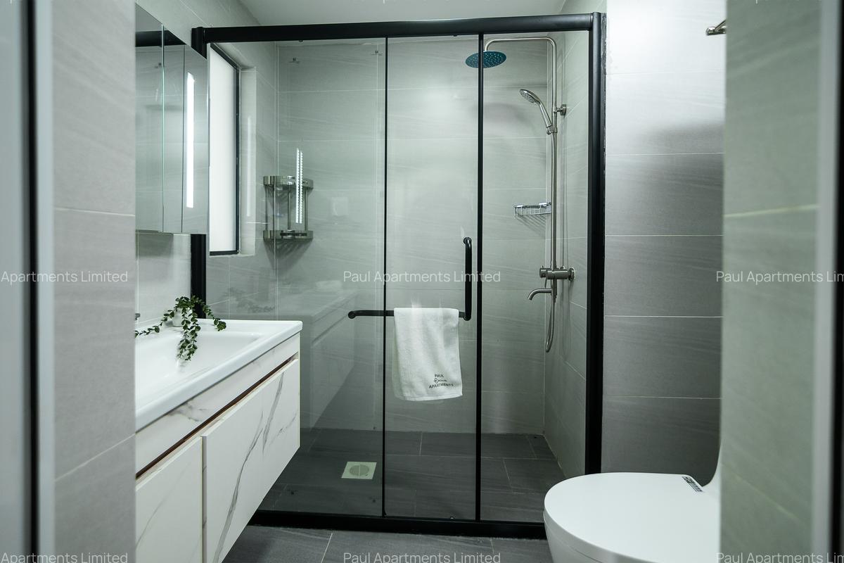 Serviced 2 Bed Apartment with En Suite at Mawensi Road - 13