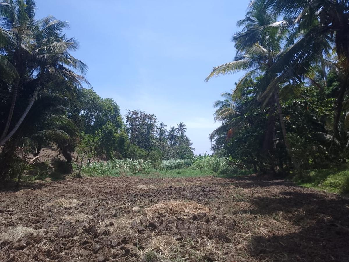 90 ac Land at Ridge - 3