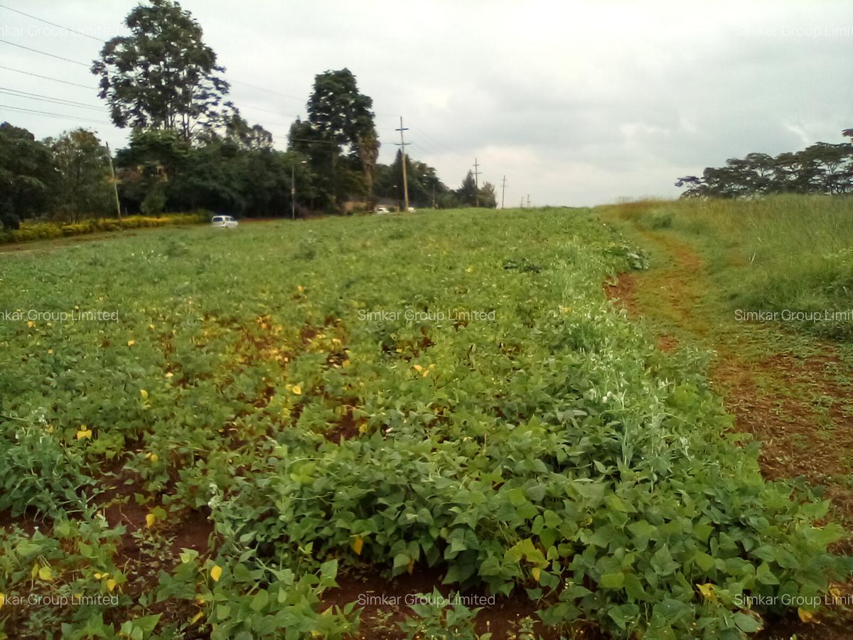 Commercial Property at Red Hill Rd - 12