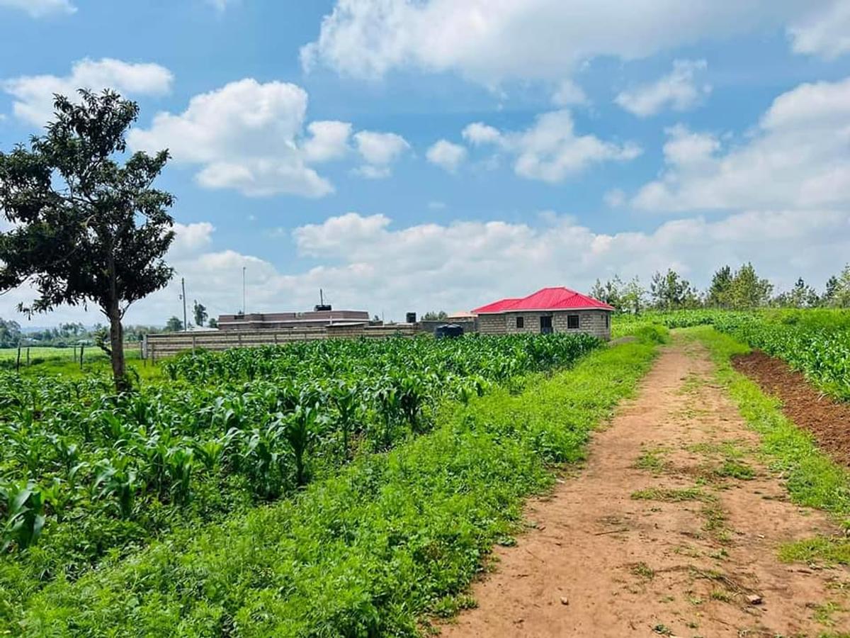 Land at Kamangu - 5