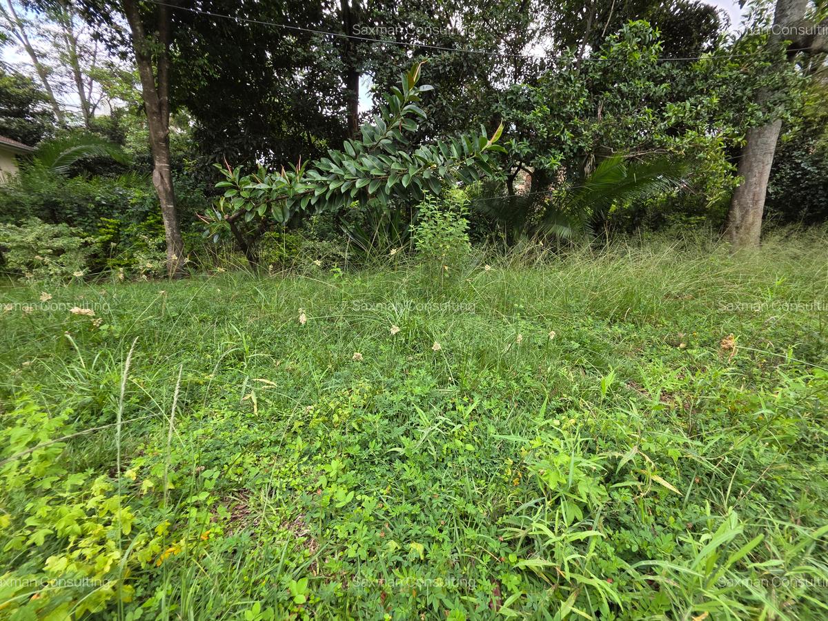 Commercial Land in Lavington - 4