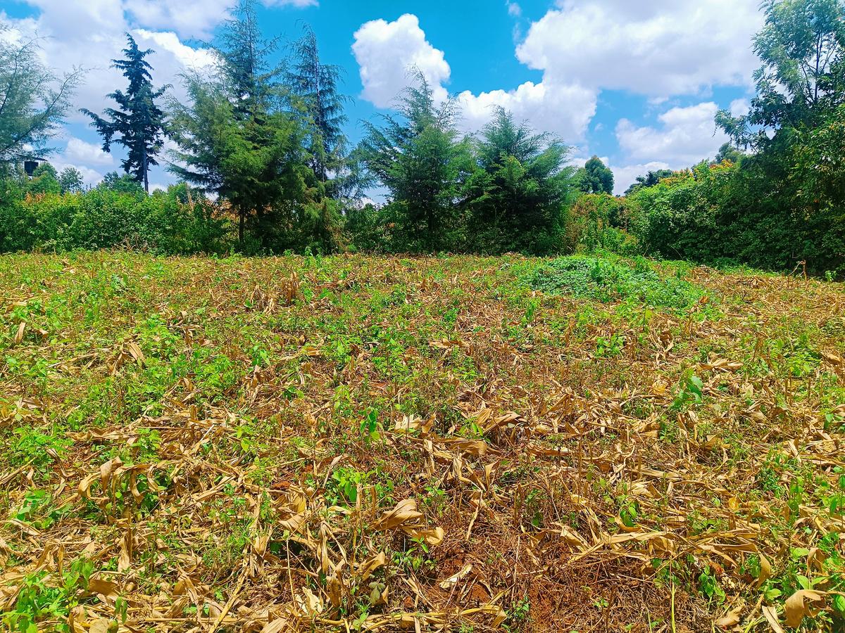 500 m² Residential Land at Riu-Nderi - 6