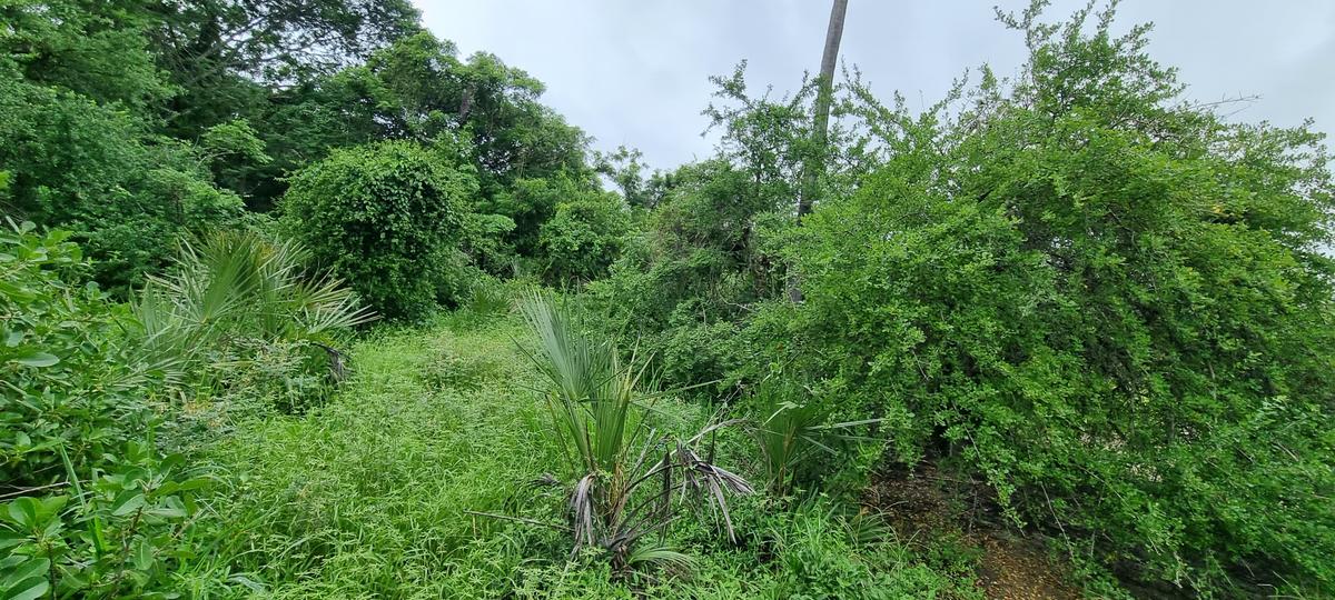 6 ac Land at Mtwapa Creekside - 14