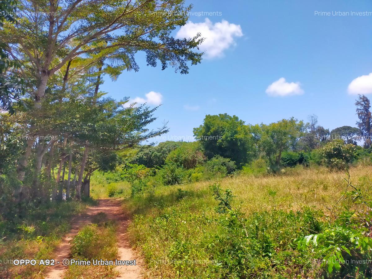 Land in Mtwapa - 10
