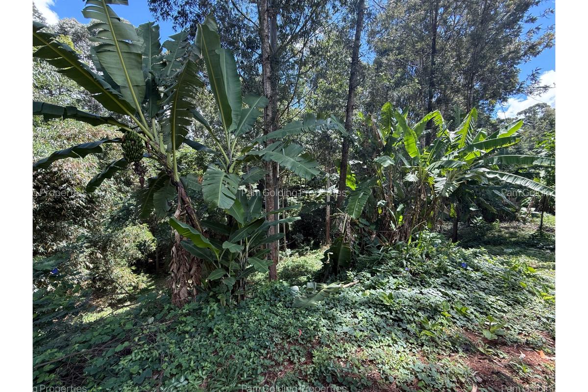 0.6 ac Land at Kitisuru Road - 3