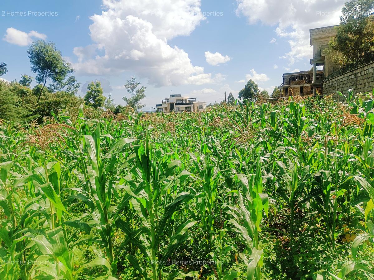 800 m² Residential Land at Nairobi Ndogo Estate - 10
