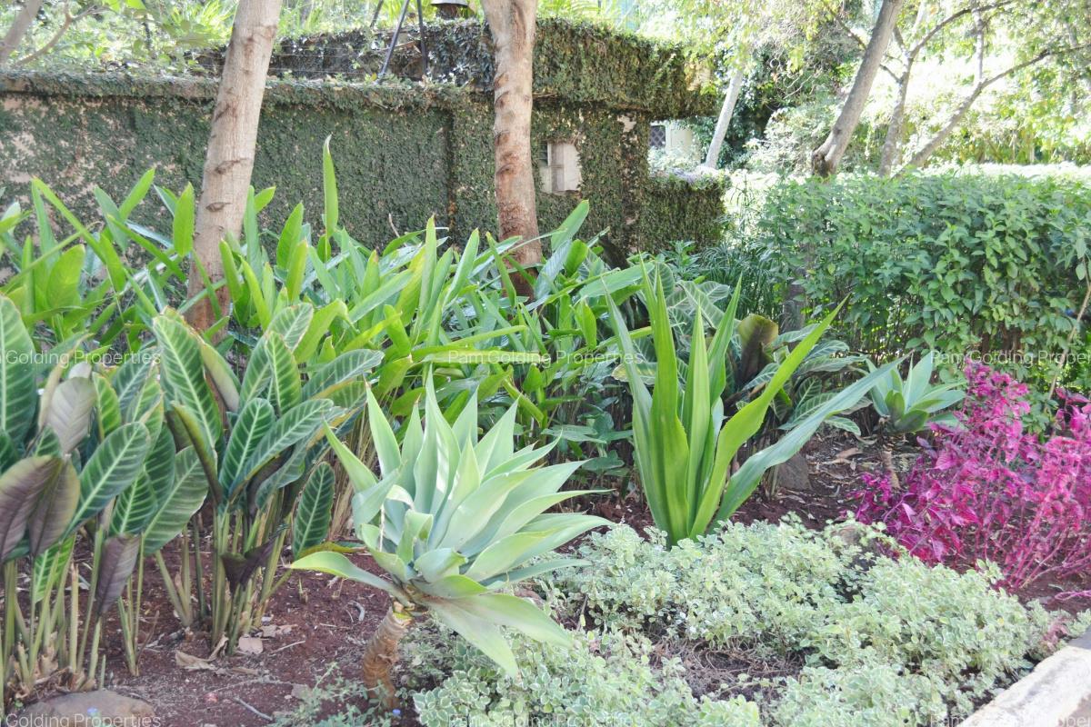 3 Bed House with Swimming Pool at Grevillea Grove - 19