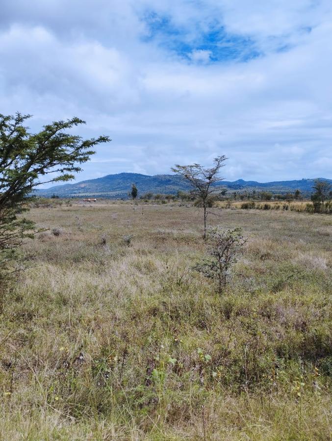 2 ac Land in Nanyuki - 2