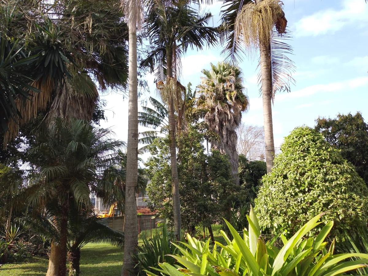 4 Bed Townhouse with En Suite in Kiambu Road - 4