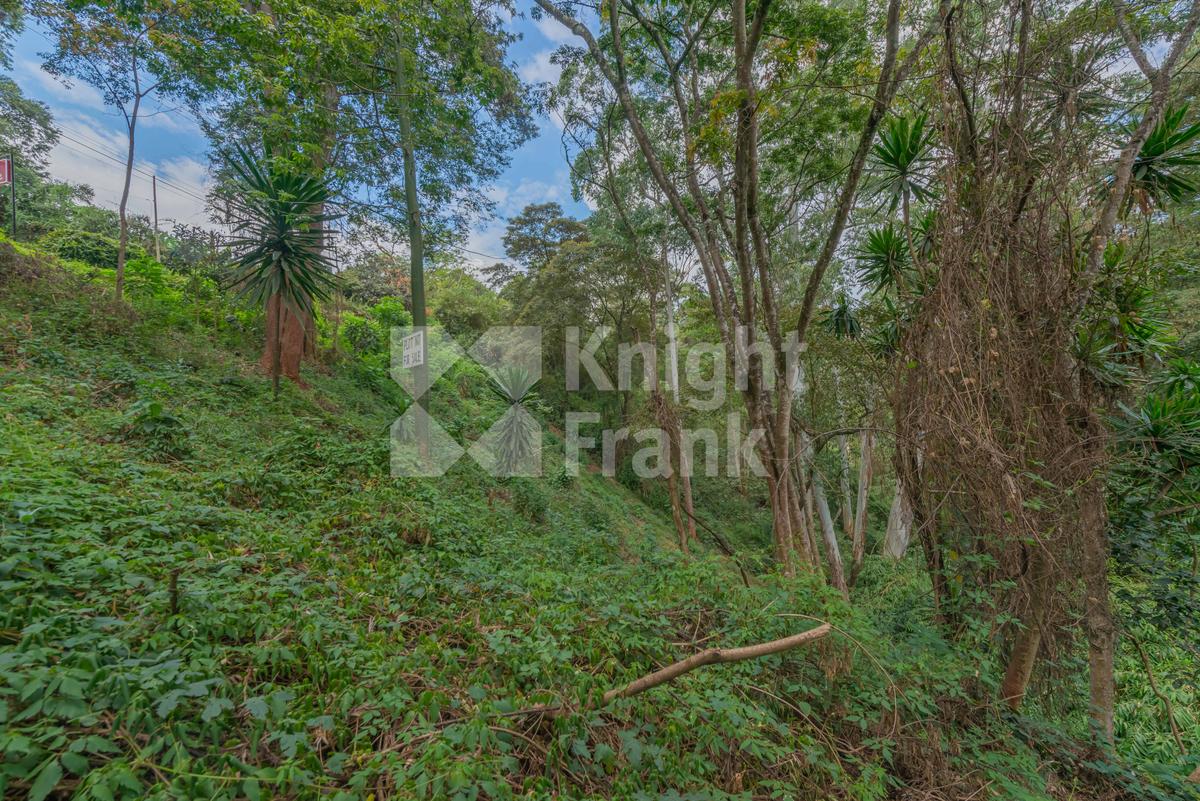 0.5 ac Land at Kitisuru Road - 3