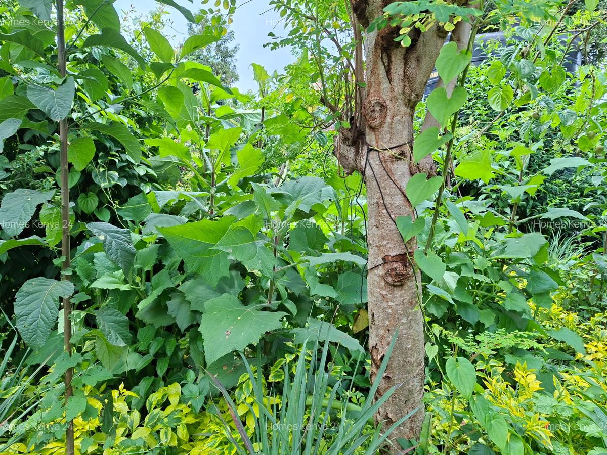 2 Bed House in Runda - 2