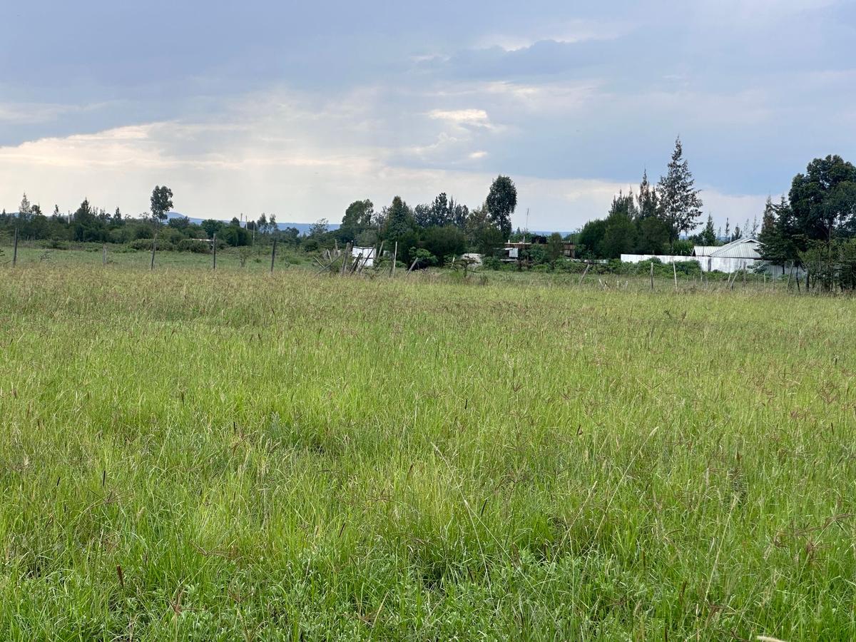 Residential Land in Nanyuki - 3