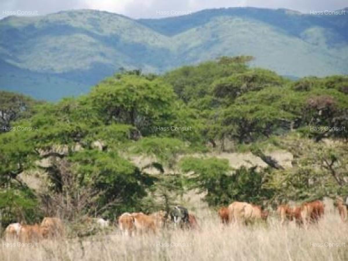 161,880 m² Land at Pipeline Road - 2