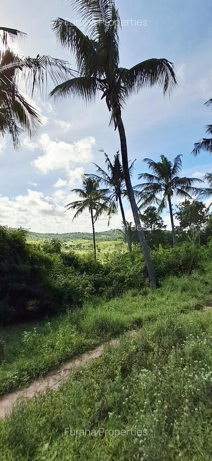Land at Vipingo - 3