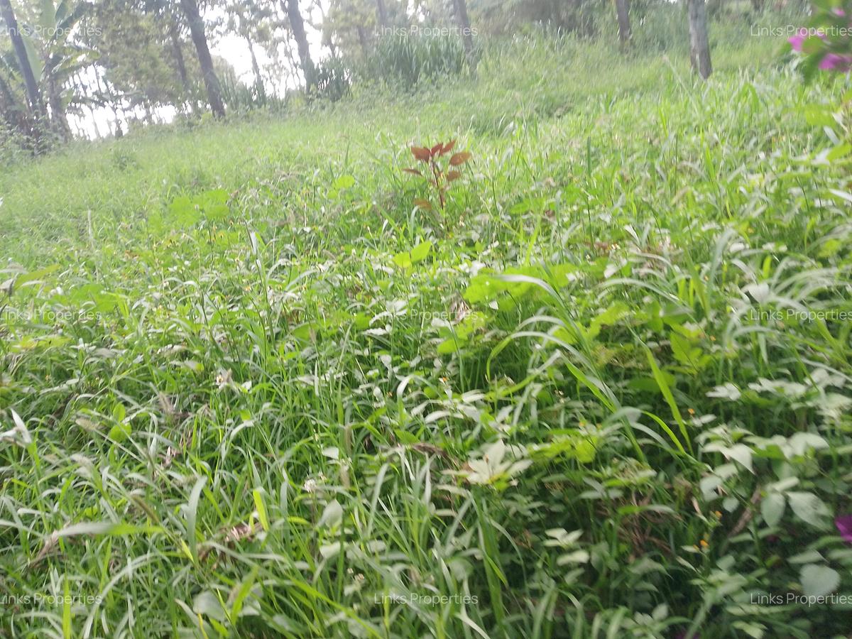 Land at Kibiko Ngong - 5