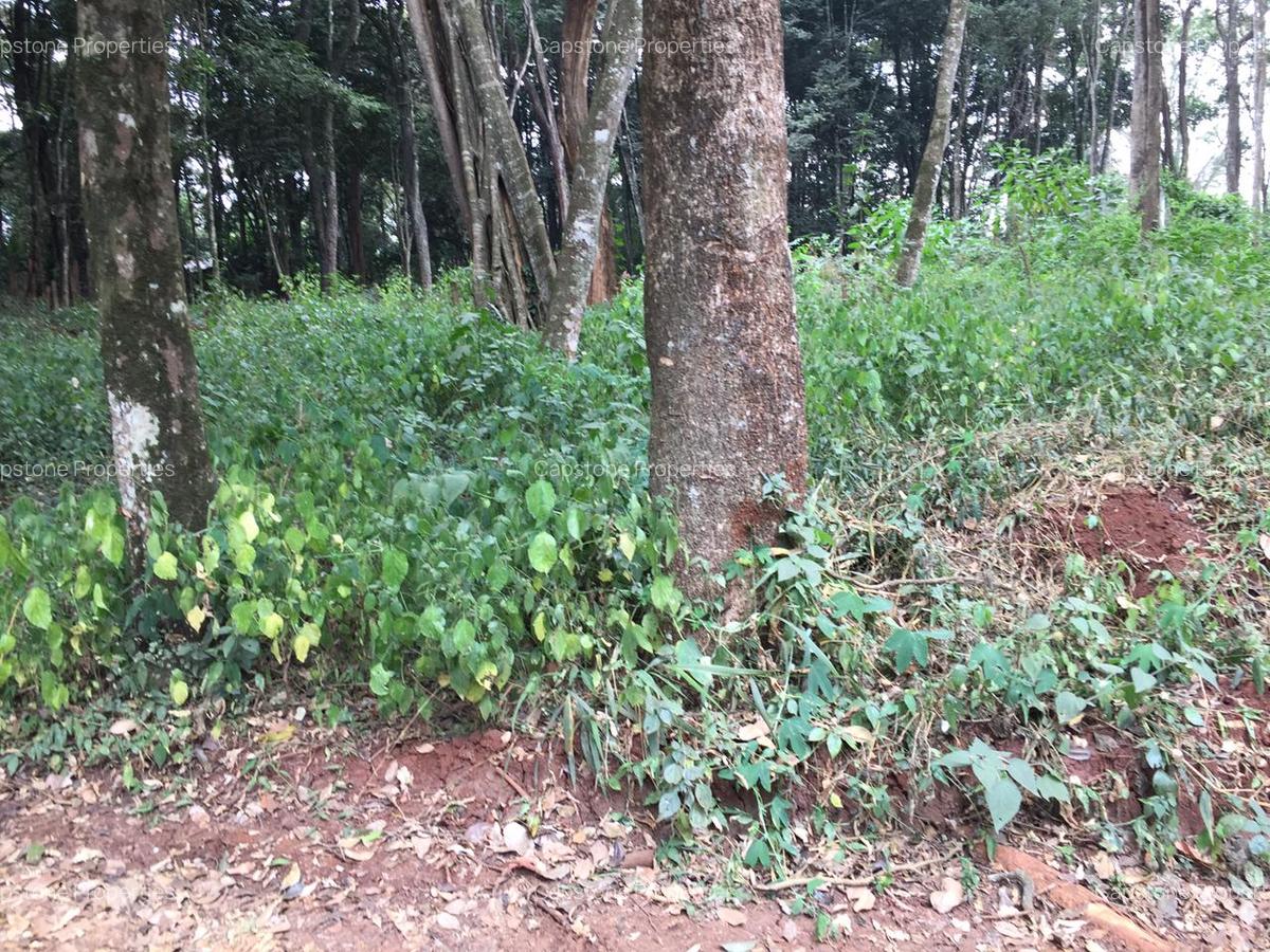 Residential Land in Karen - 8