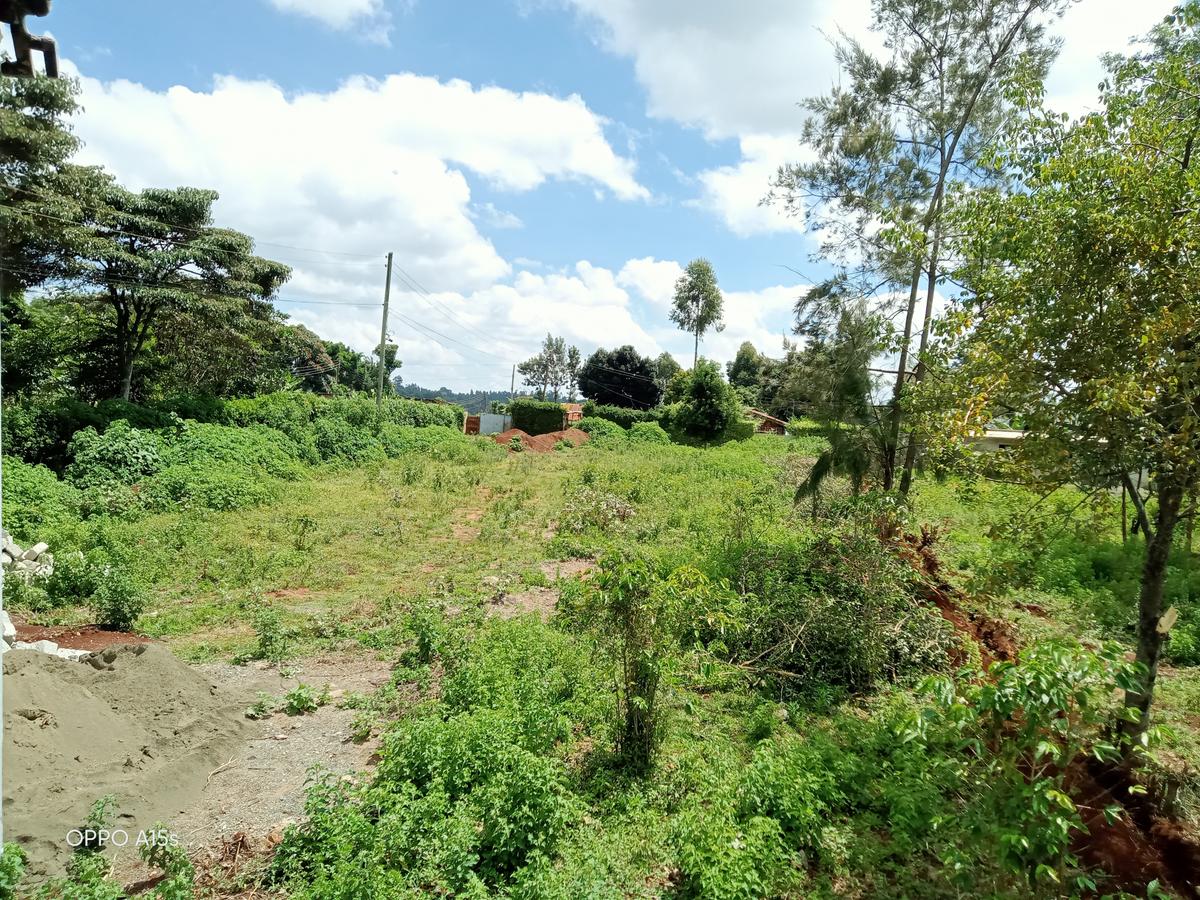 Commercial Land in Banana - 11