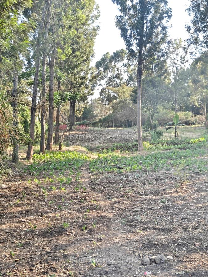 0.3 ac Land at Kabiria - 3