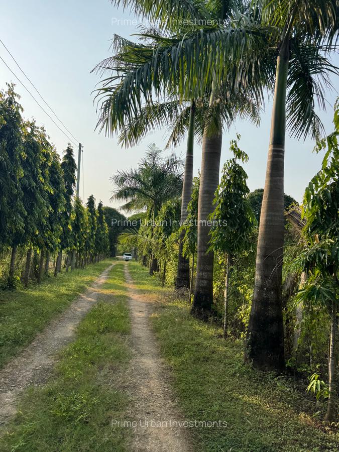 3 Bed House with En Suite in Mtwapa - 17