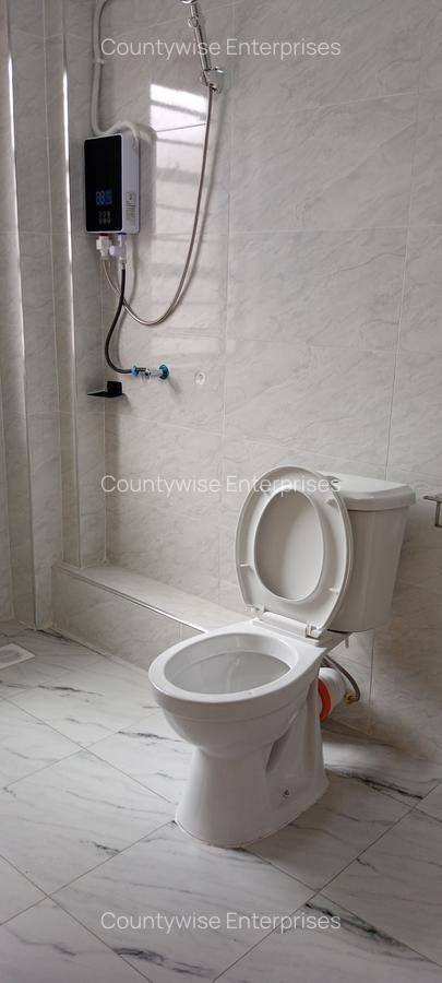 3 Bed Apartment with En Suite in Thindigua - 7