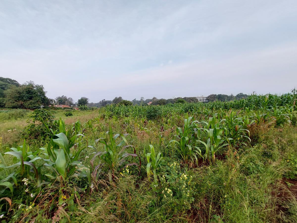 Residential Land at Kirawa Road - 9