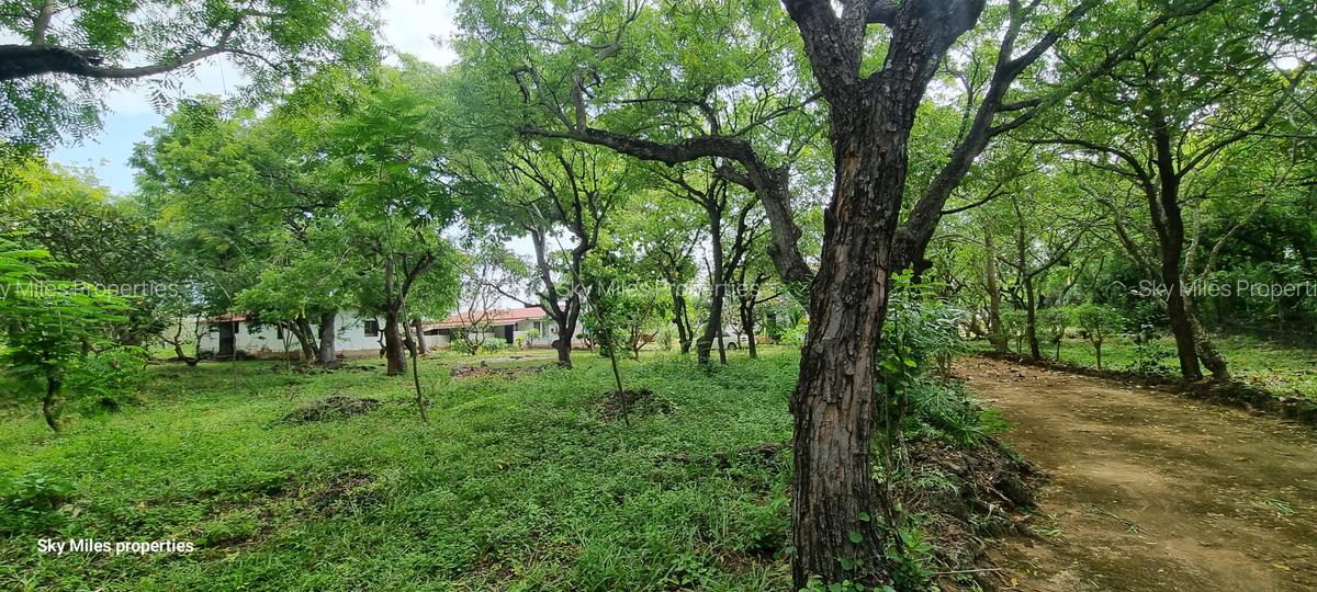 4.4 ac Land at Kuruwitu - 7