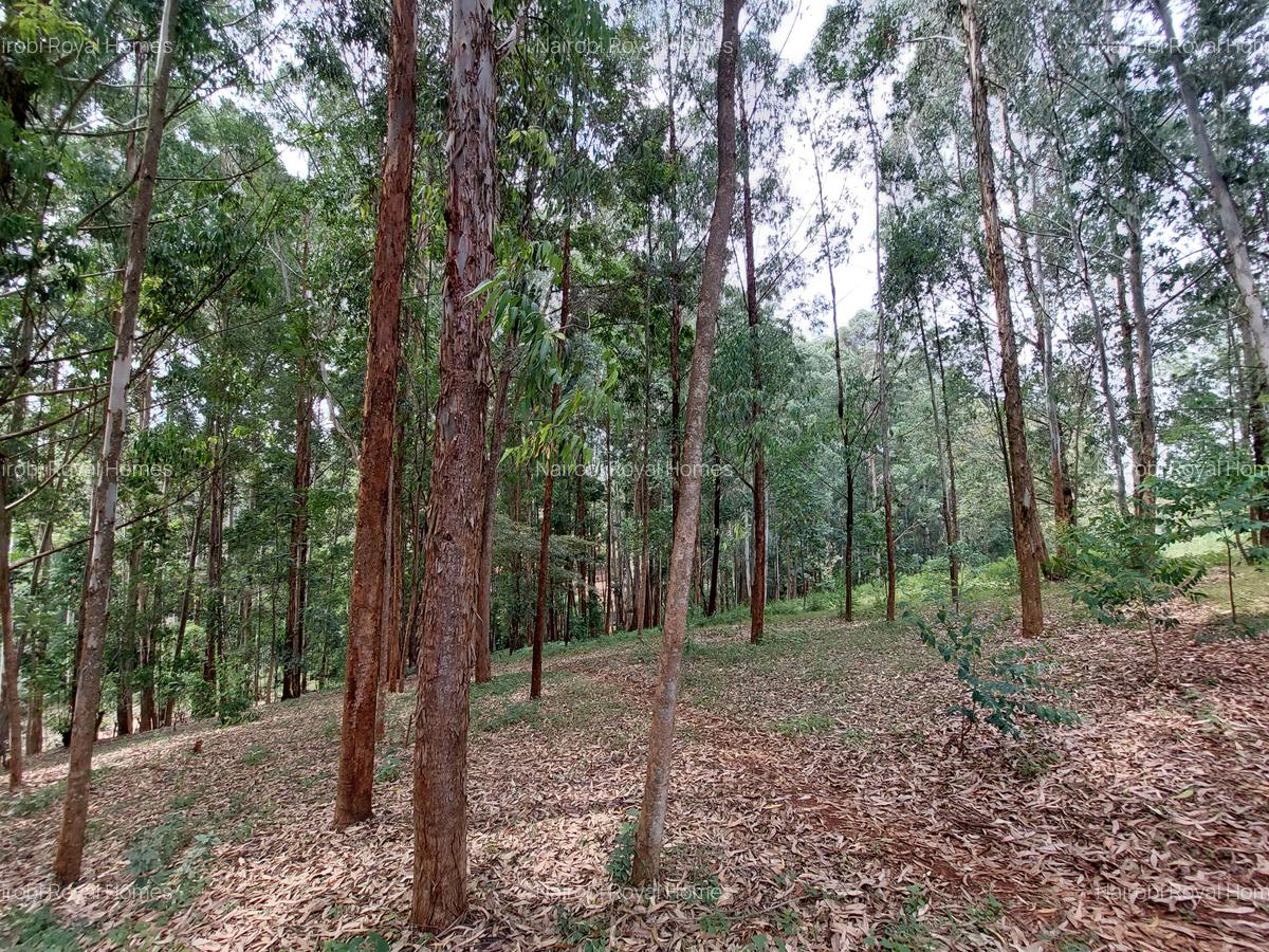 Residential Land at Rosslyn Redhill Road - 6