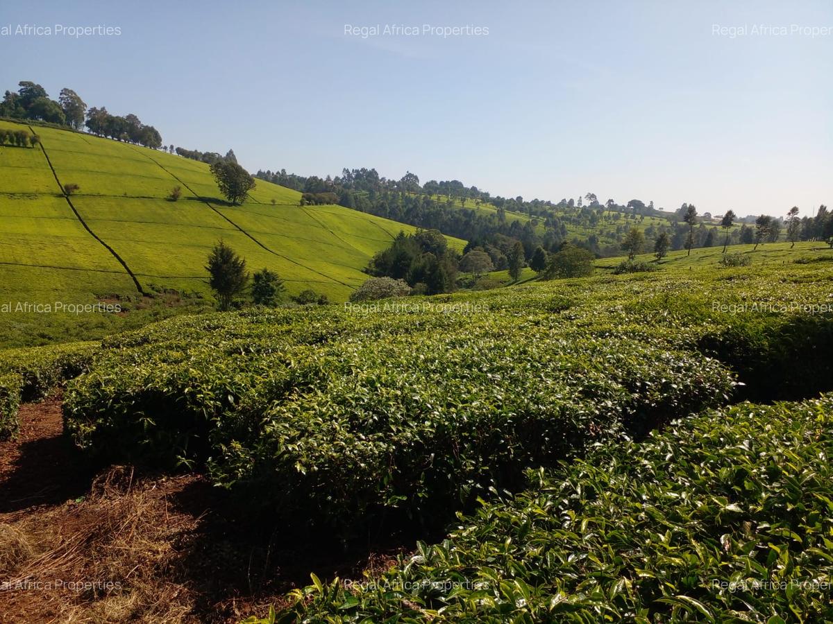 5 ac Land at Tigoni - 3