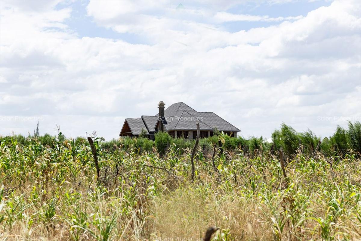 0.125 ac Residential Land in Nanyuki - 5