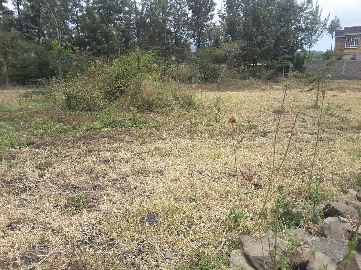 0.125 ac Residential Land in Ongata Rongai - 18