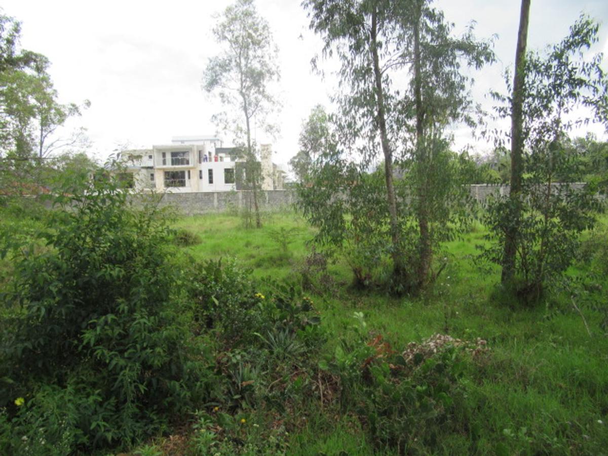 Land at Bogani Rd - 3