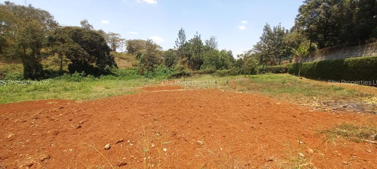 0.5 ac Residential Land at Muthithi - 7
