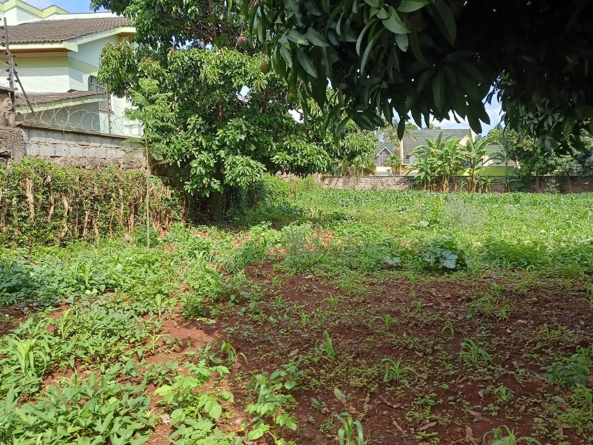 Residential Land at Runda - 3