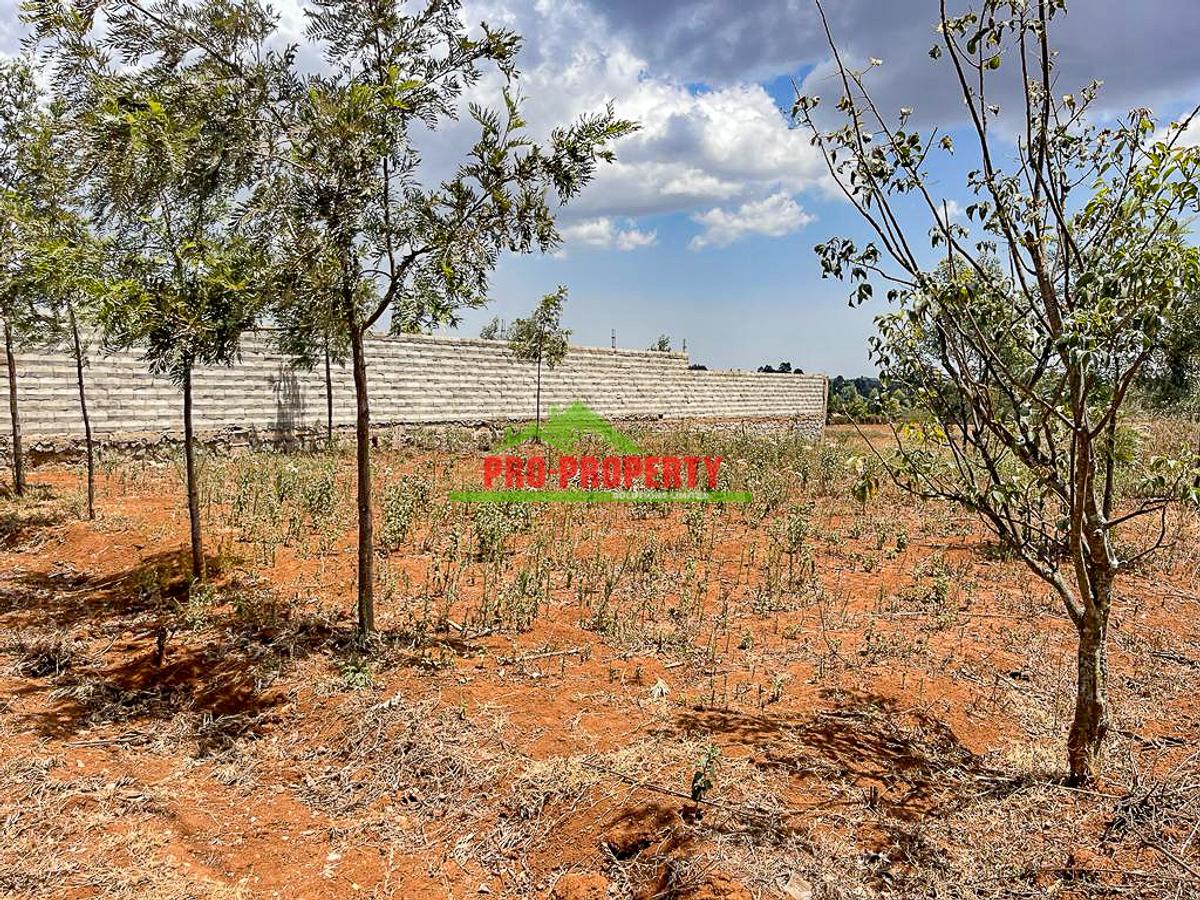 0.05 ha Residential Land in Kamangu - 6