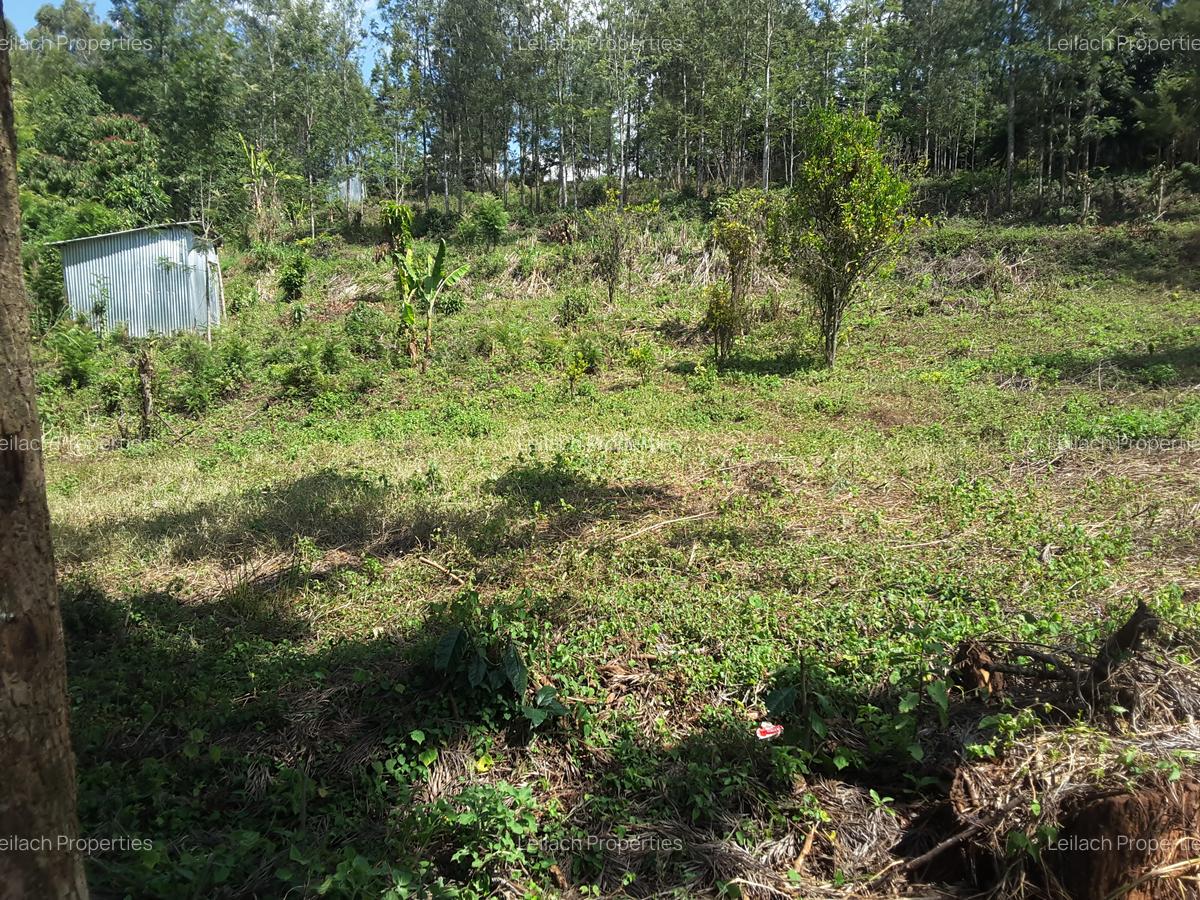 0.25 ac Residential Land in Ngong - 17