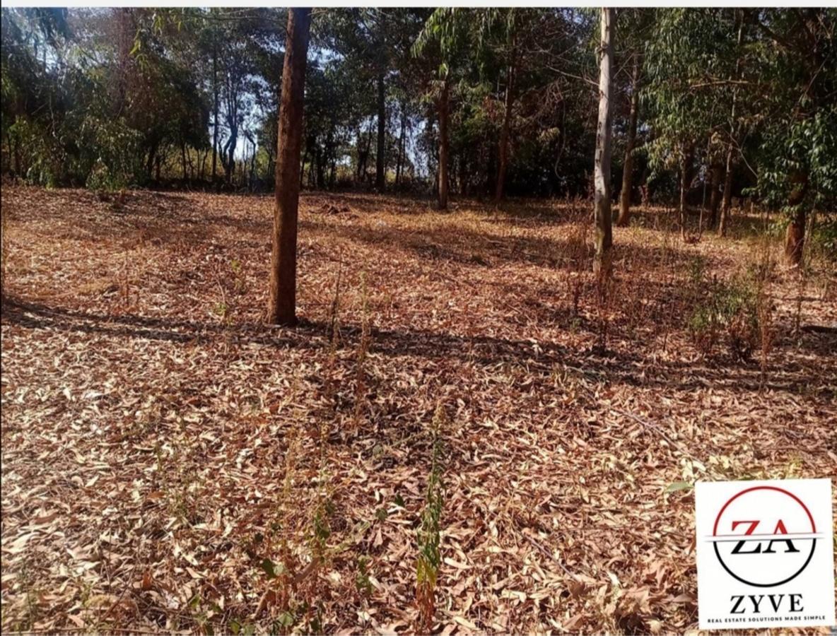 0.125 ac Residential Land at Near White House - Near Muiru Drive - 2