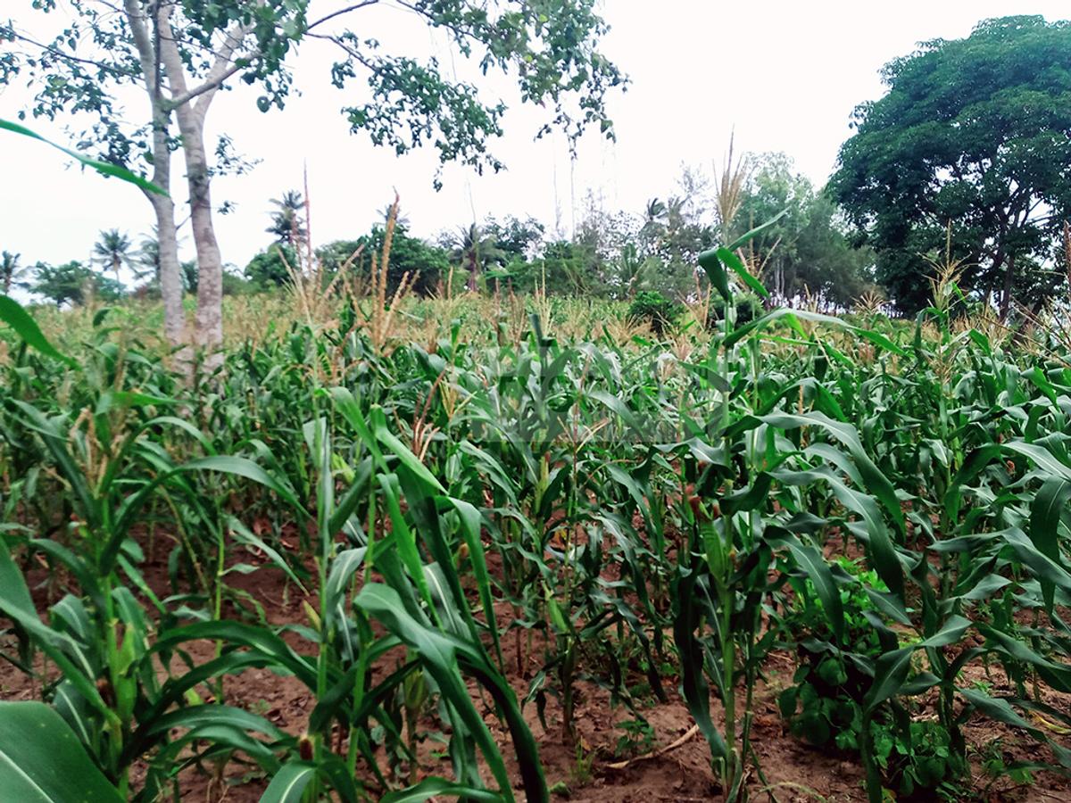 1 ac Land in Mtwapa