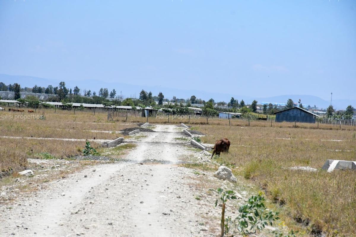 0.05 ha Land at Kitengela Kisaju Behind Isinya Feeds Spring Garden - 8