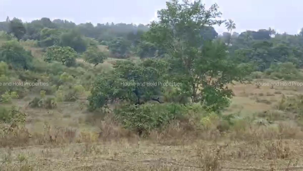 2.8 ha Commercial Land at Tiwi - 9