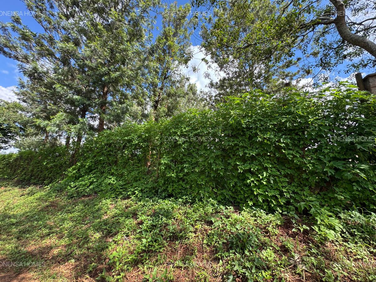 Land in Eastern ByPass - 2
