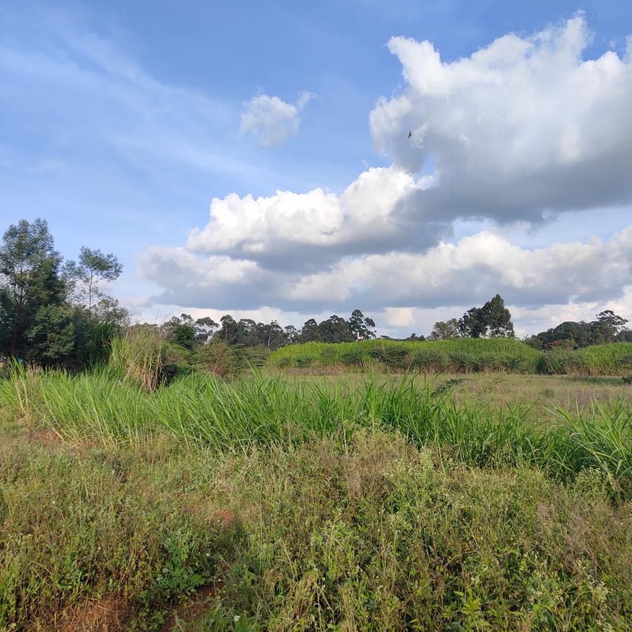 Commercial Land at Daggorett Road - 18