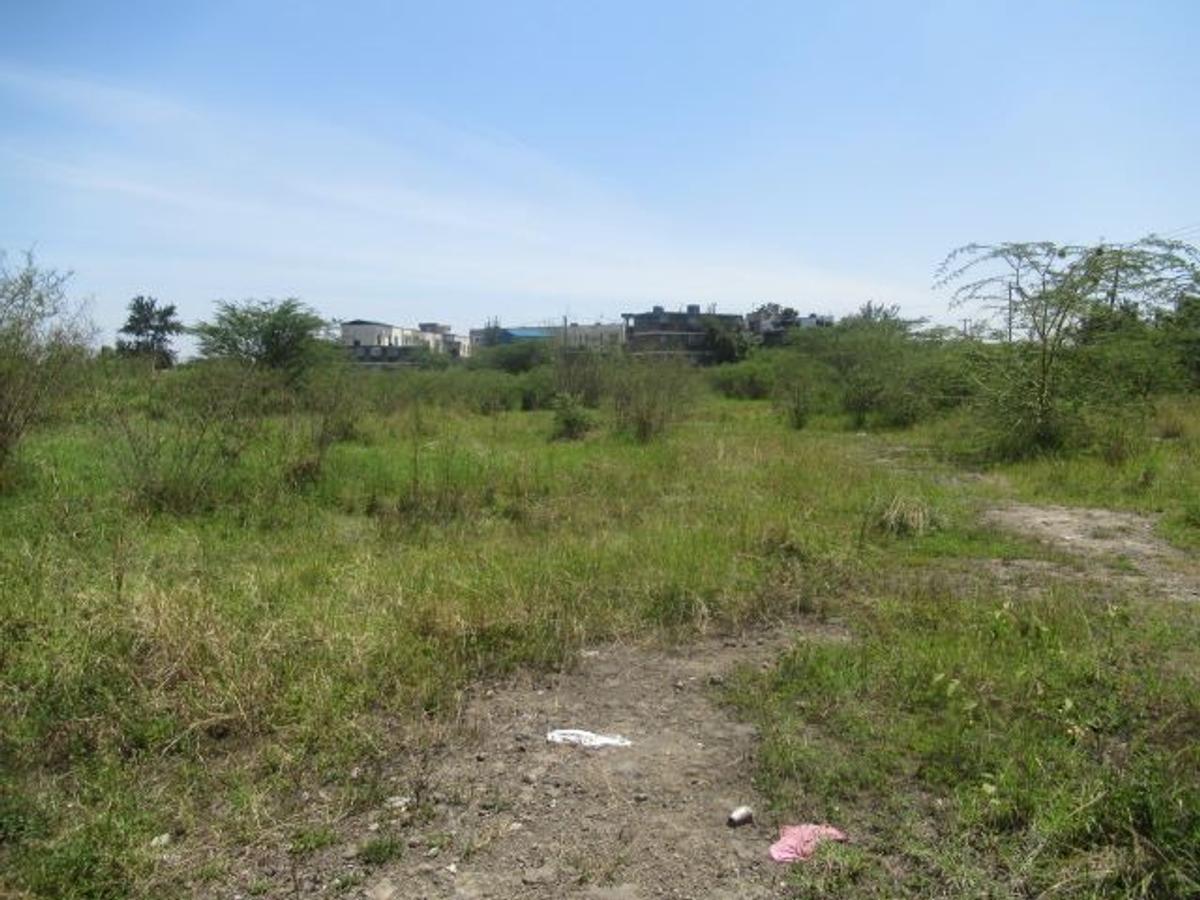 23,796 m² Commercial Land at Nyasa Road - 14