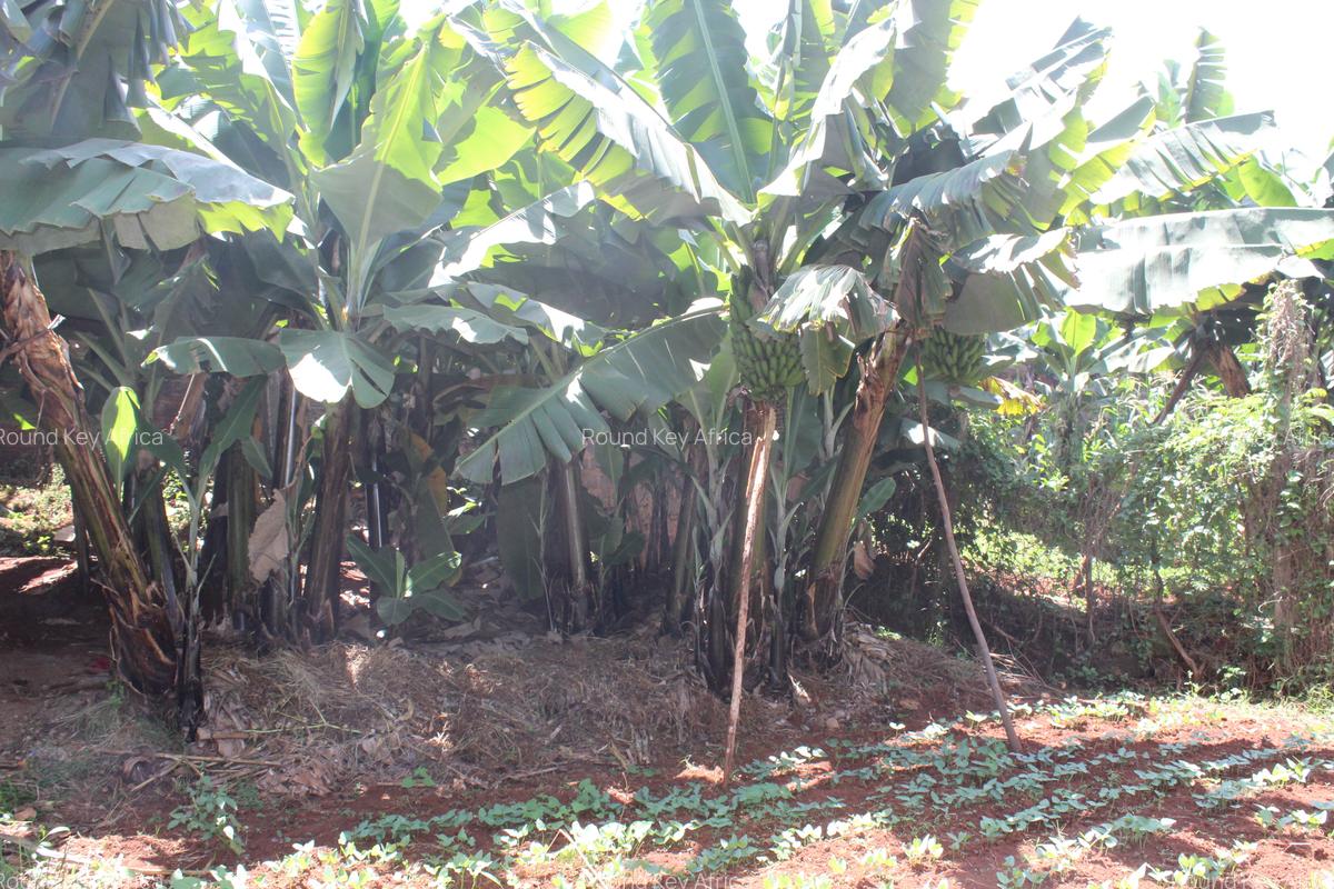 4 Bed Townhouse with En Suite at Loresho - 10