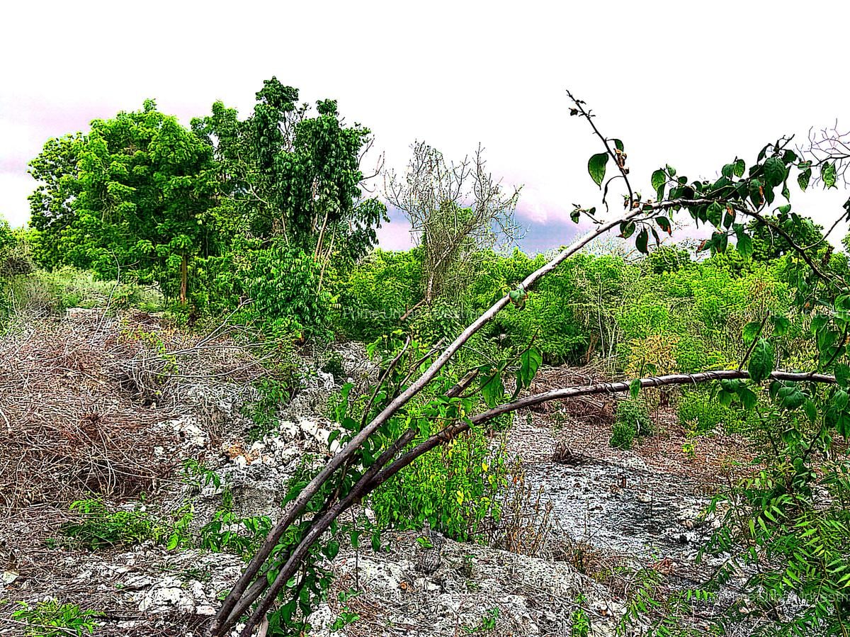 2,010 m² Residential Land at Second Row Kuruwitu Beach - 9