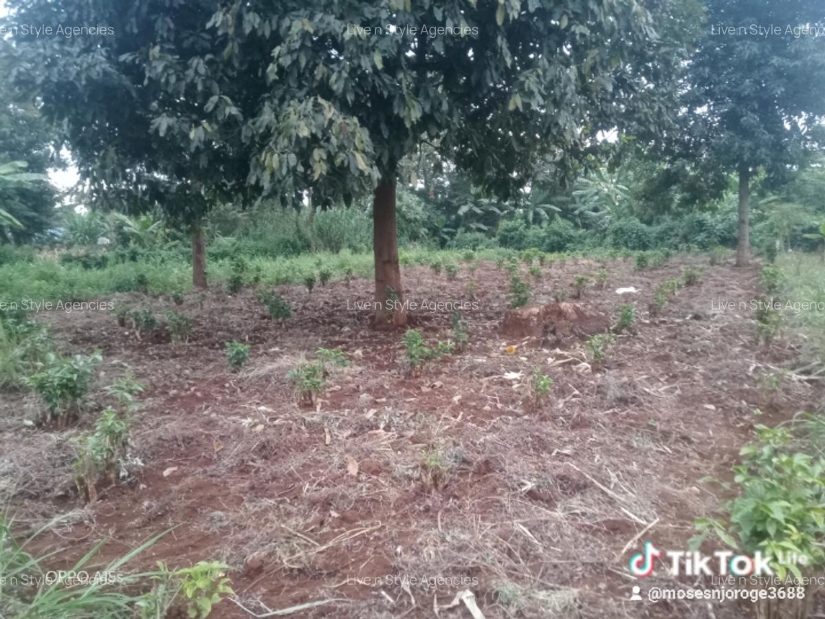 Commercial Land in Ruaka - 8