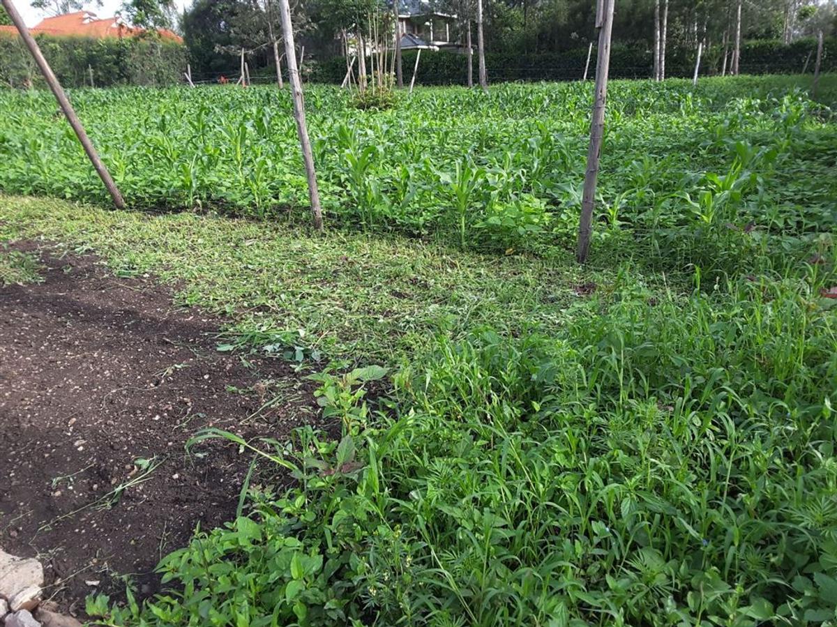 500 m² Residential Land in Ongata Rongai - 2